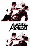 Secret Avengers: Run the Mission, Don't Get Seen, Save the World