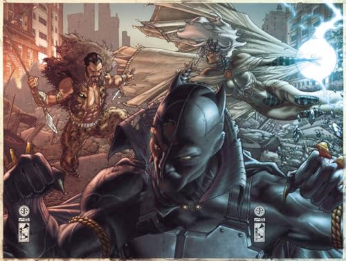 Fear Itself: Black Panther: The Man Without Fear book cover