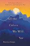 All the Colors We Will See: Reflections on Barriers, Brokenness, and Finding Our Way
