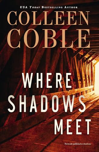 Where Shadows Meet cover