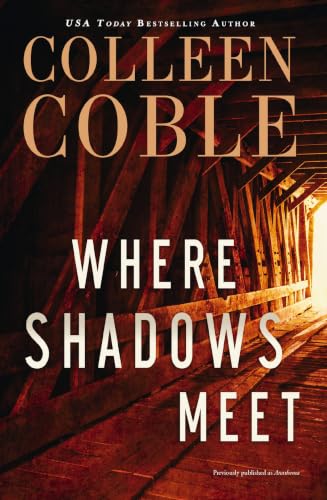 Where Shadows Meet book cover