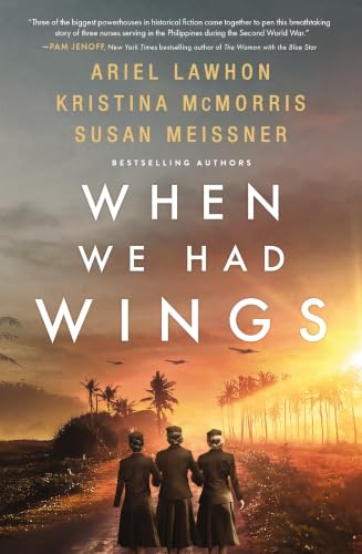When We Had Wings book cover