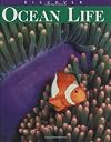 Discover Ocean Life