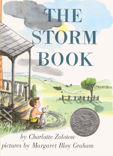 Cover of The Storm Book