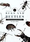 Identifying Bugs and Beetles: The New Compact Identifier and Study Guide (Identifying Guide)