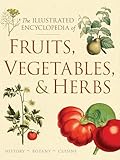 The Illustrated Encyclopedia Of Fruits Vegetables Herbs History Botany Cuisine