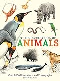 The Encyclopedia Of Animals More Than 1000 Illustrations And Photographs