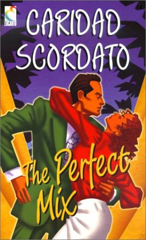 The Perfect Mix book cover