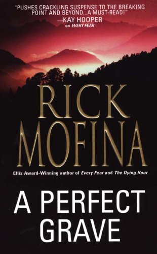 A Perfect Grave book cover