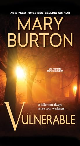 Vulnerable book cover