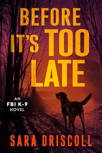Before It's Too Late book cover