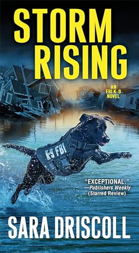 Storm Rising book cover
