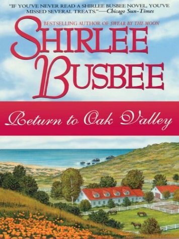 Return To Oak Valley book cover
