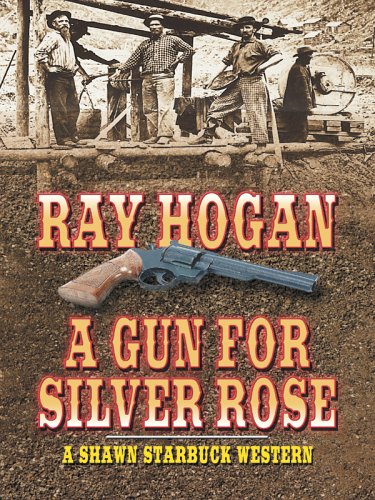 A Gun for Silver Rose book cover