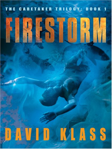 Cover of Firestorm