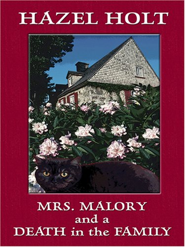 Death in the Family book cover