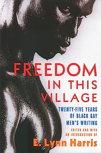 Freedom in this Village Twenty-Five Years of Black Gay Men's Writing book cover
