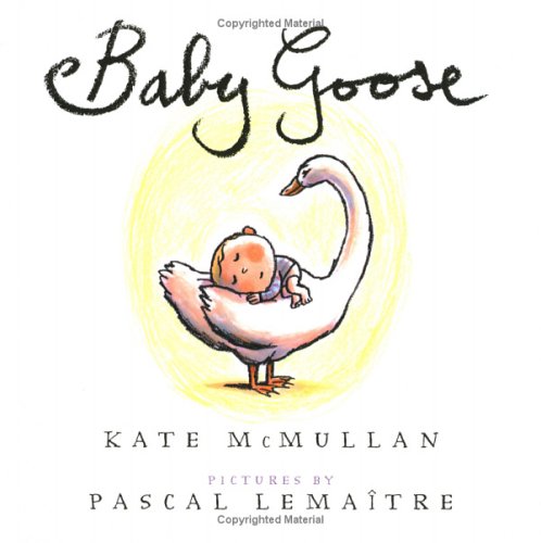 Baby Goose book cover