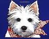 McDuff & Friends Friendship Box