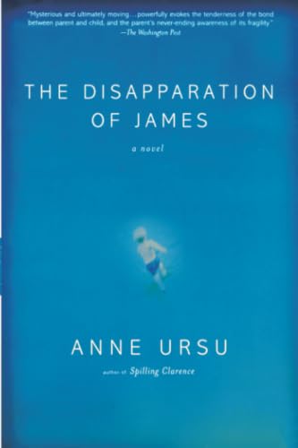 The Disapparation of James book cover