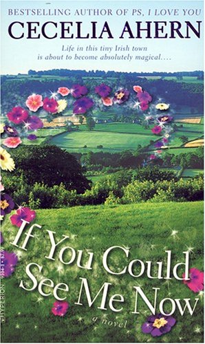 If You Could See Me Now book cover