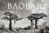 Baobab