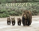 Grizzly The Bears Of Greater Yellowstone