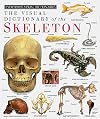 The Visual Dictionary of the Skeleton