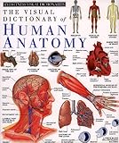 Human Anatomy Dk Visual Dictionaries