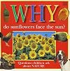 Why Do Sunflowers Face the Sun? Questions Children Ask About Nature