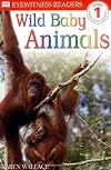 Wild Baby Animals (DK Readers: Level 1)