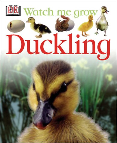 Cover of Duckling