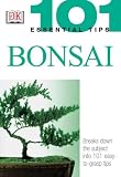 Bonsai 101 Essential Tips