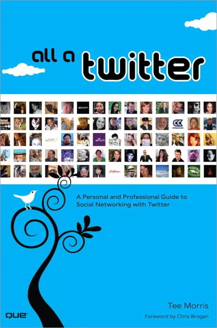 All a Twitter: A Personal and Professional Guide to Social Networking with Twitter book cover