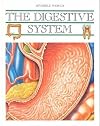 The Digestive System (Invisible World)
