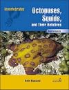 Octopuses, Squids, and Their Relatives