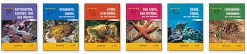 Cover of Invertebrates Set