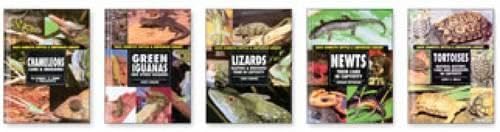 Cover of Basic Domestic Reptiles And Amphibians Set (Basic Domestic Reptiles & Amphibians)