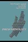 Phenomenology (Contemporary Continental Philosophy)