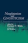 Neoplatonism and Gnosticism (Studies in Neoplatonism)