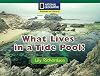 What Lives in a Tide Pool (Windows on Literacy)