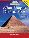 What Shapes Do You See?