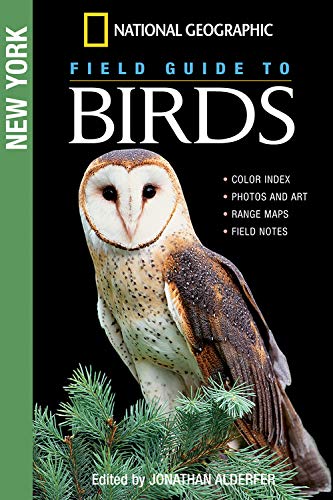 New York book cover