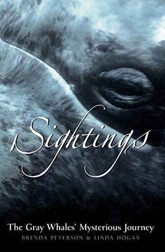 Sightings book cover