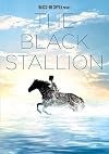 The Black Stallion [1979 film]