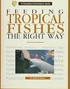 Feeding Tropical Fish the Right Way
