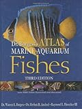 Dr Burgesss Atlas Of Marine Aquarium Fishes