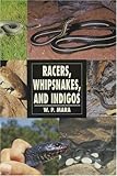 Racers Whipsnakes And Indigos