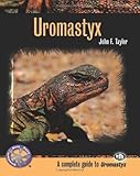 Uromastyx
