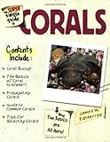 The Super Simple Guide To Corals